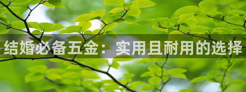 琳琅娱乐免费线上观看