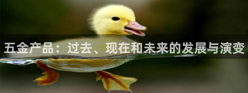 娱乐从琳琅榜开始的小说