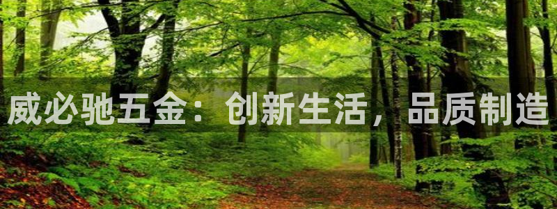 琳琅娱乐代理怎么做的