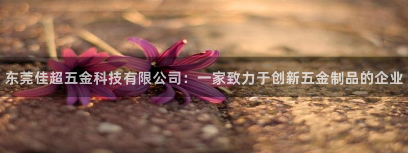 琳琅娱乐工作室怎么样啊