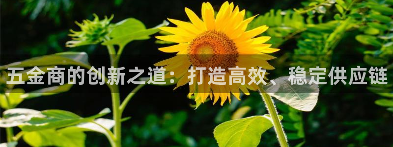 娱乐从琳琅榜开始的小说