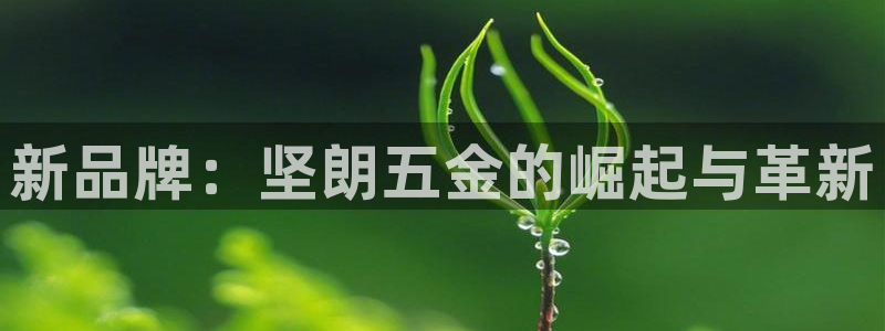 琳琅科技娱乐qq机器人词库