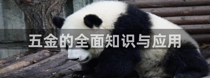 琳琅科技qq娱乐机器人怎么搞