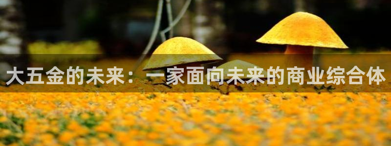 琳琅娱乐工作室招聘条件