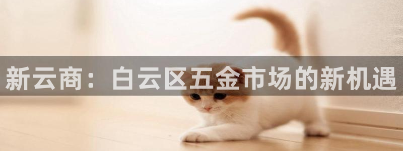 琳琅天上qq飞车娱乐