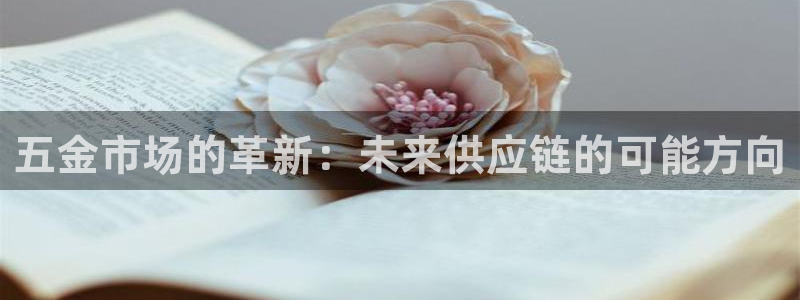 娱乐从琳琅榜开始