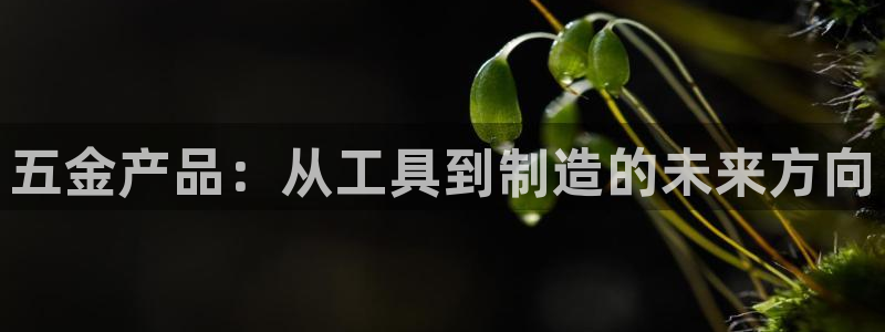 琳琅娱乐信誉33300