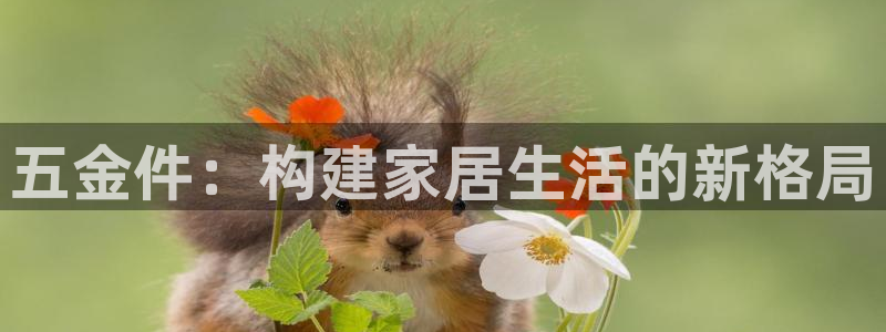 琳琅娱乐组飞车