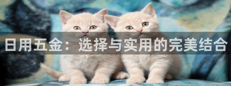 琳琅科技娱乐机器人教程