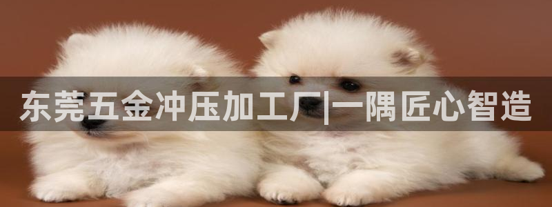 祖龙娱乐官网爱在琳琅