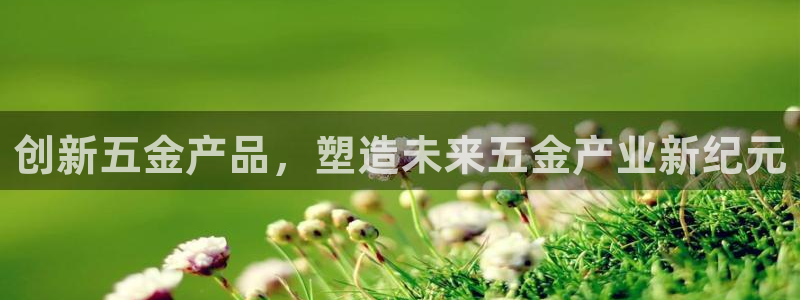 琳琅娱乐代理怎么做的