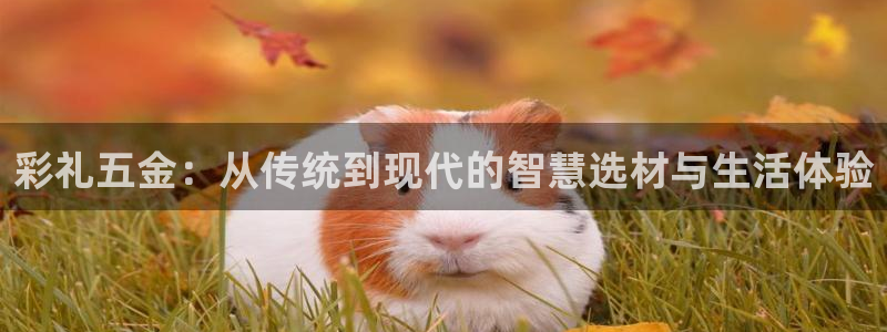 琳琅科技娱乐qq机器人词库