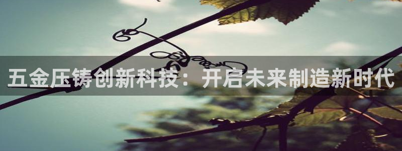 琅琳琅娱乐社区