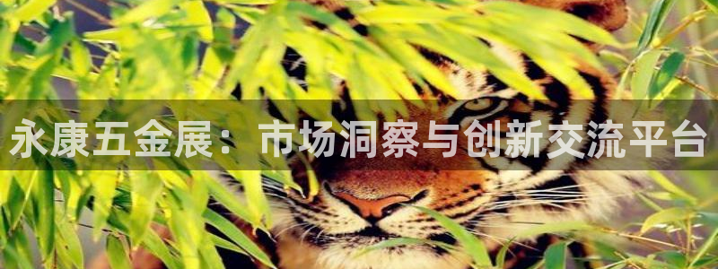 琳琅娱乐工作室招聘