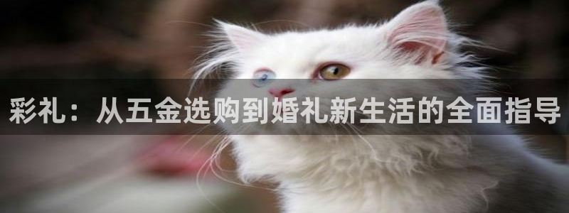 琳琅娱乐工作室怎么样啊