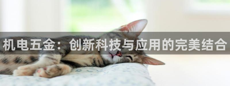 琳琅娱乐代理怎么做的