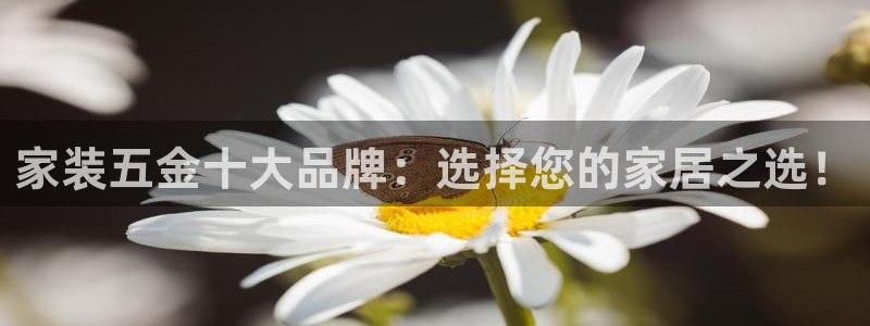 琅琳琅娱乐社区