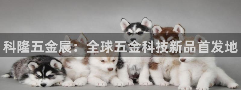 琳琅娱乐m