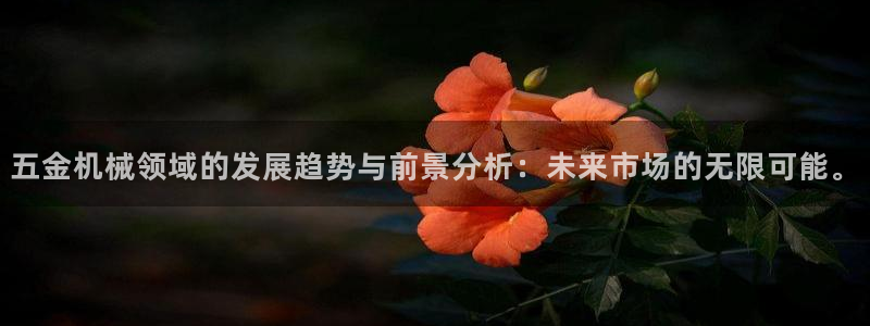 琳琅娱乐平台登陆
