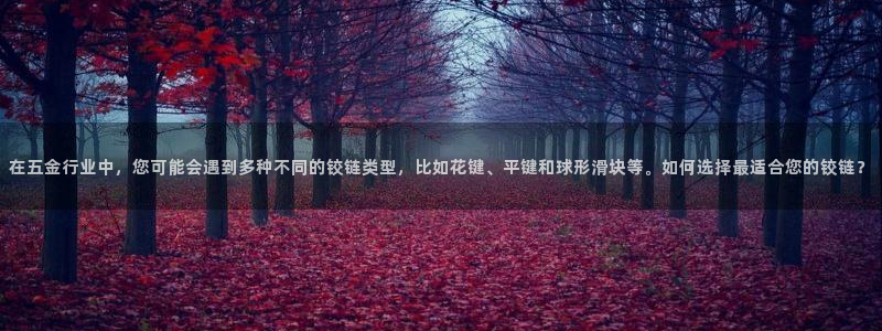 琳琅科技qq娱乐机器人