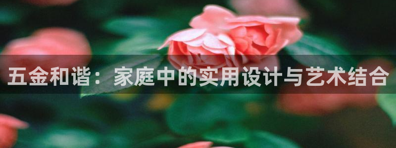 琳琅天上qq飞车娱乐