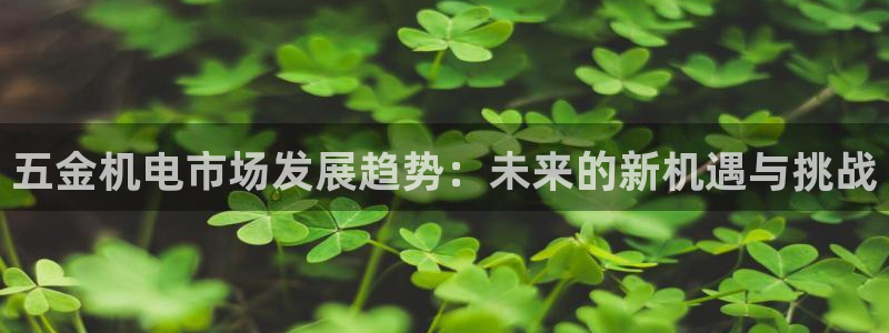 琳琅娱乐直播