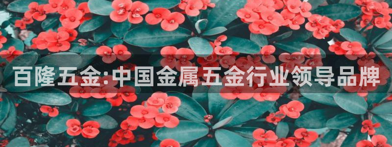琳琅天上qq飞车娱乐