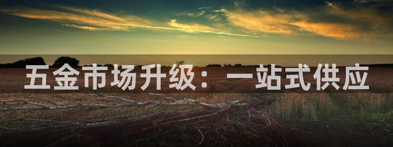 琳琅娱乐 全麦优质