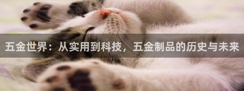 琳琅娱乐工作室招聘
