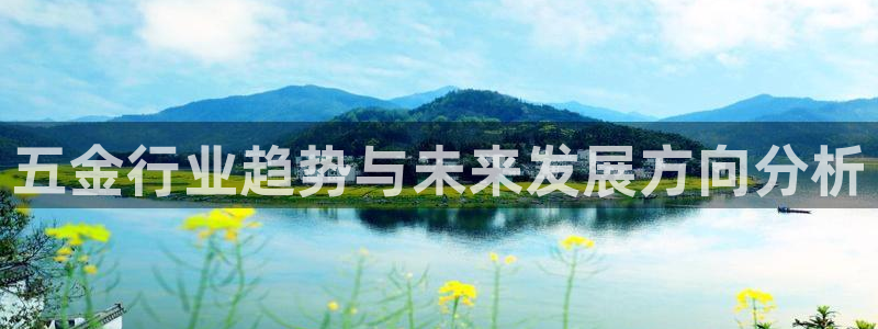 琳琅科技娱乐机器人