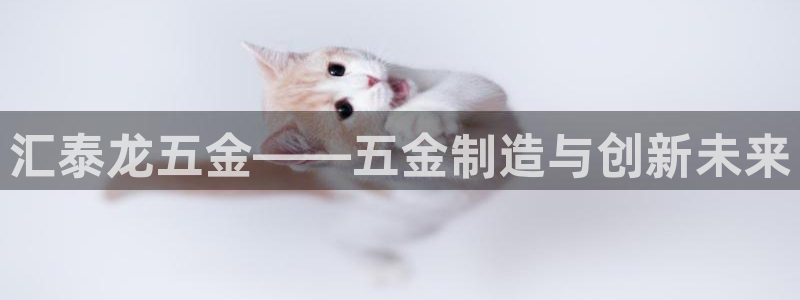 琳琅娱乐工作室