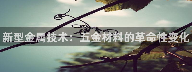 琳琅娱乐工作室