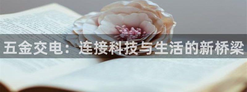 琳琅偏爱娱乐