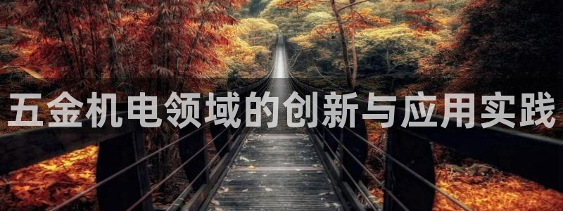 琳琅科技娱乐机器